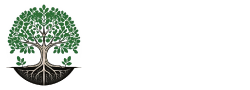 全身矯正 あっぷでーと。